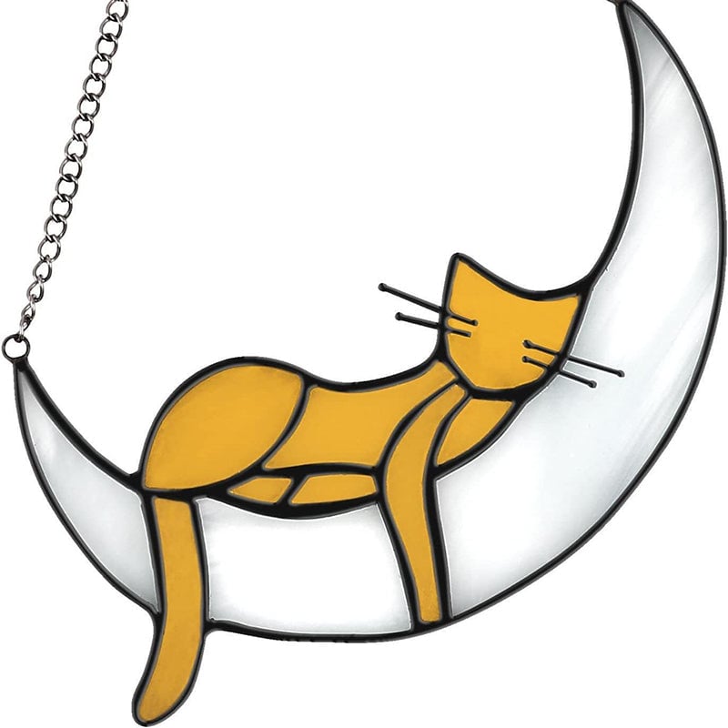 Sleeping Cat On the Moon