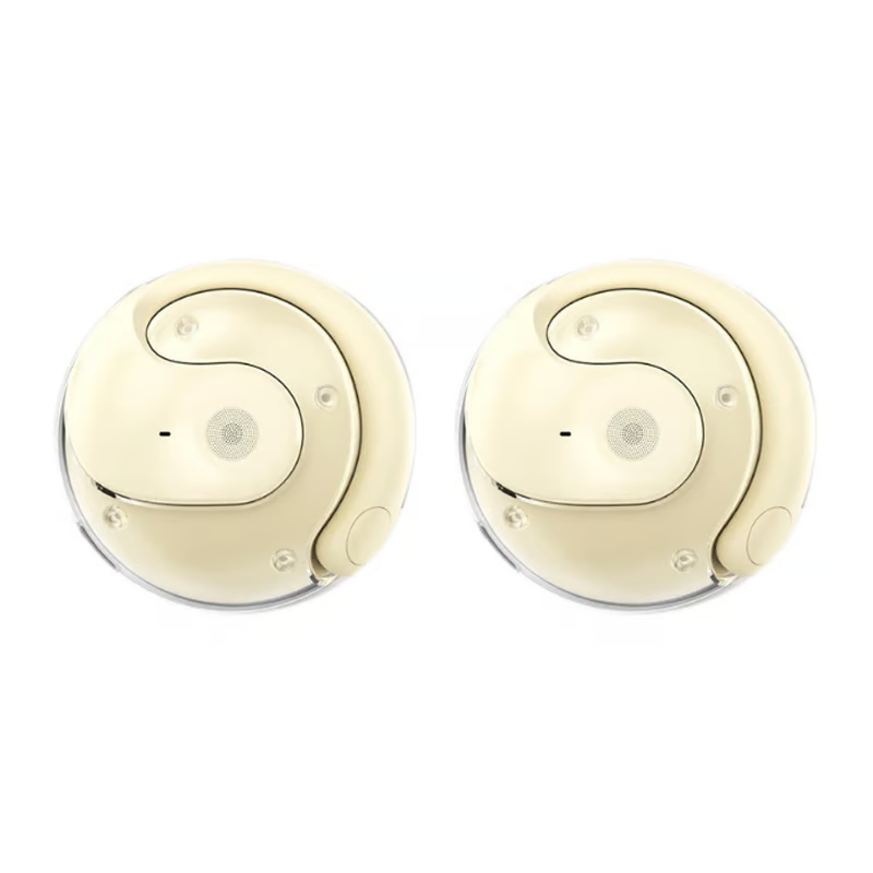 Wireless Bluetooth Translation Earbuds