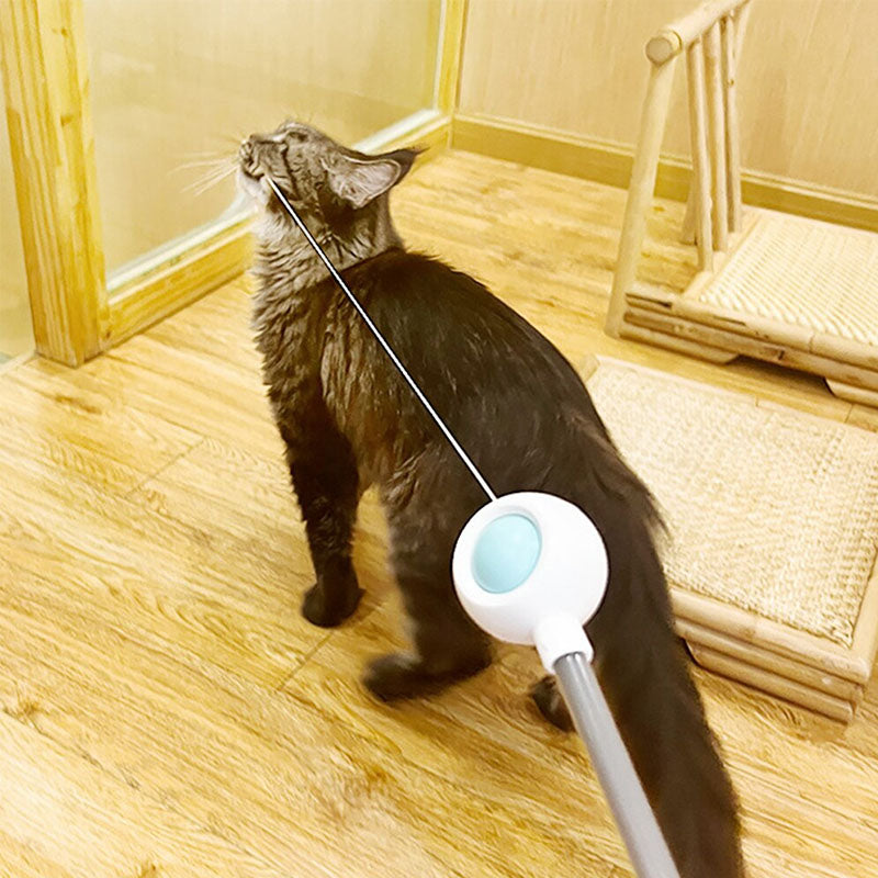 Pet Telescopic Laser Teasing Stick