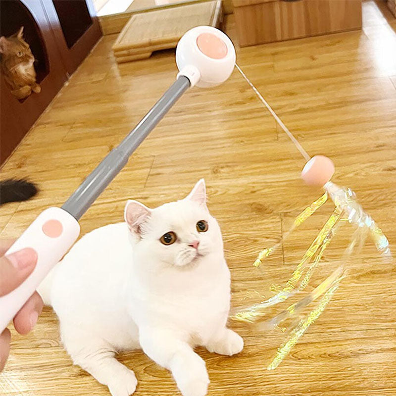 Pet Telescopic Laser Teasing Stick