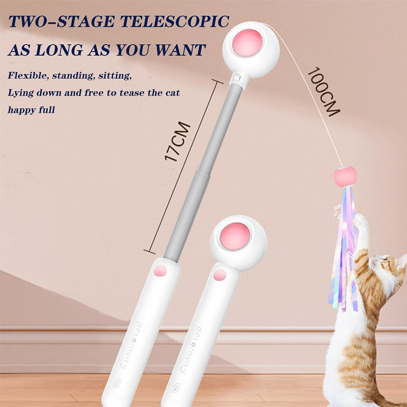 Pet Telescopic Laser Teasing Stick