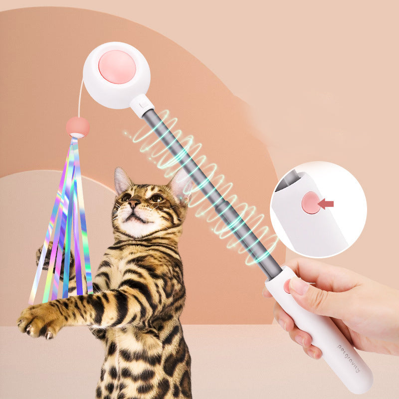 Pet Telescopic Laser Teasing Stick