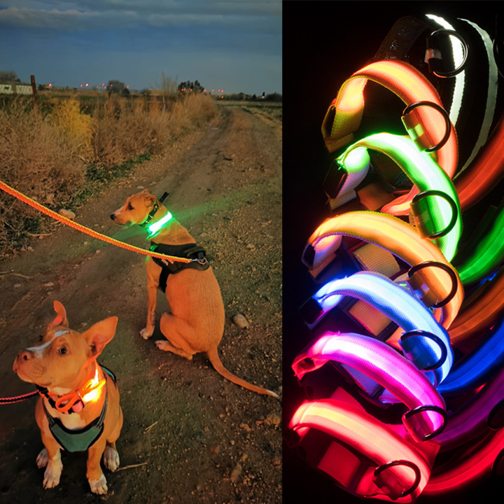 LED Pet Collar