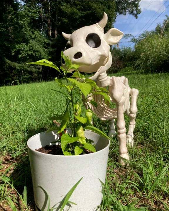 Cow Skeleton Halloween Decorative Prop