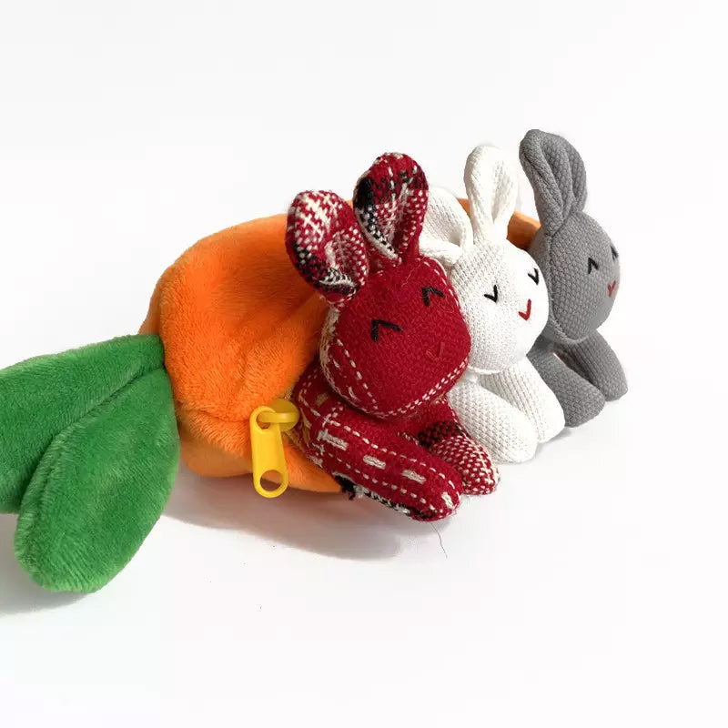 Hide And-Seek Bunnies In Carrot Pouch