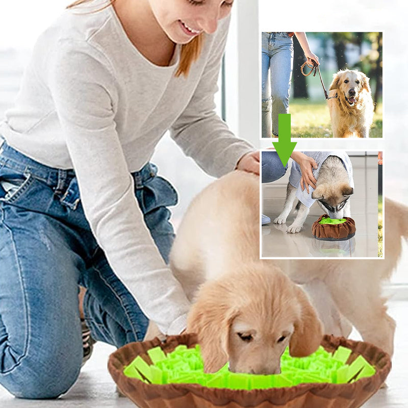 Pet Feeding Training Mat