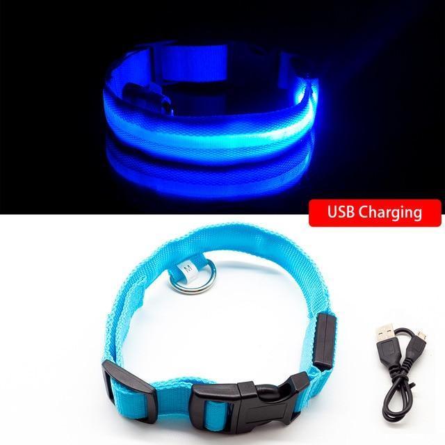 LED Pet Collar